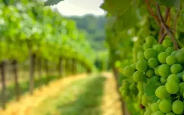 Pension Panoramablick