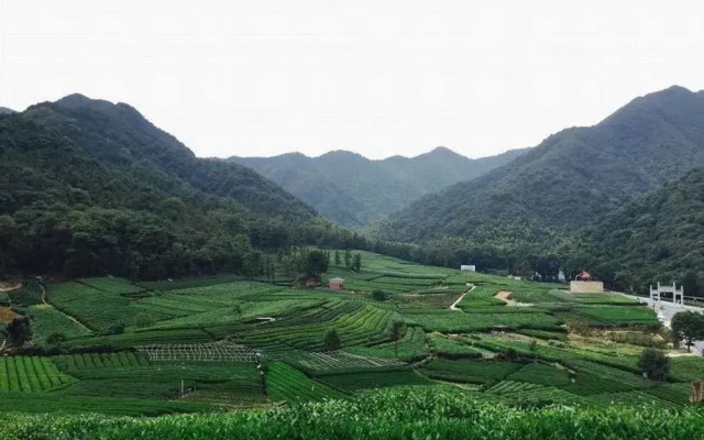 Hangzhou Huachen Holiday Hotel