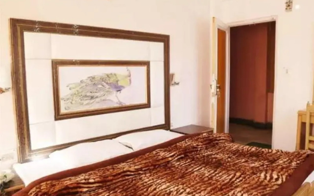 Ankit Palace