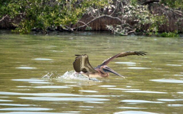 Casa Blatha Holbox