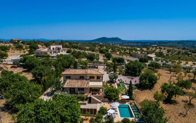 Puig d'en Guardiola ID:74768