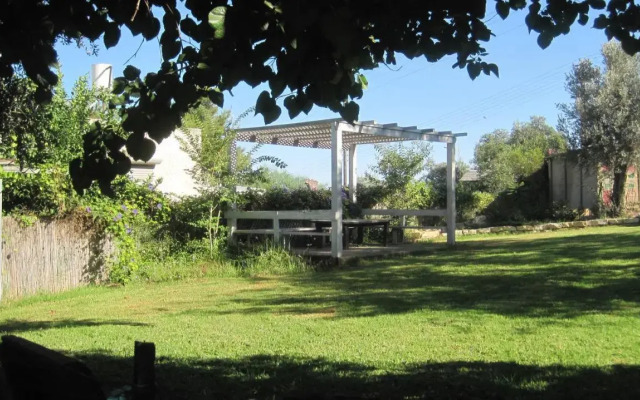 The House By The Mulberry Tree
