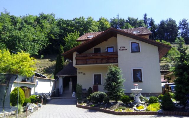 Villa Psenek