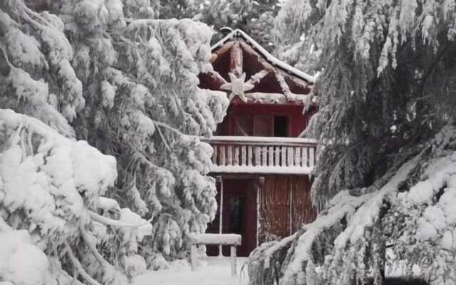 Sycamore Avenue Treehouses