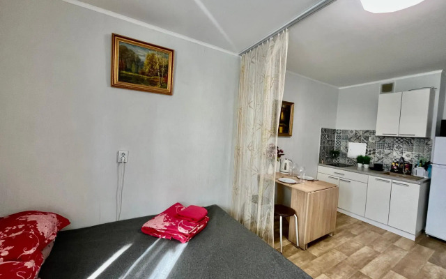 Apartment on Lenin street 237