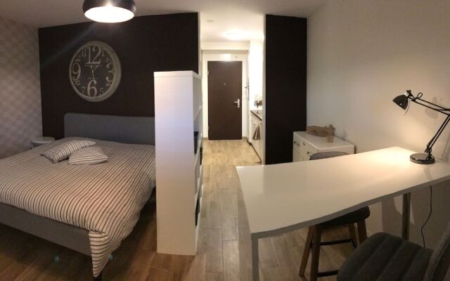 Large Studio Near Epfl And Lausanne City Center