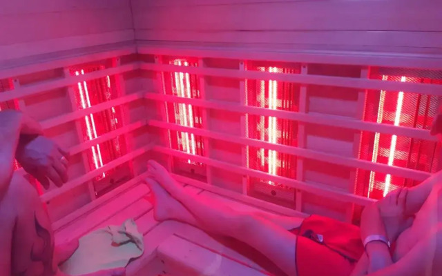 Bee Tree Appartement