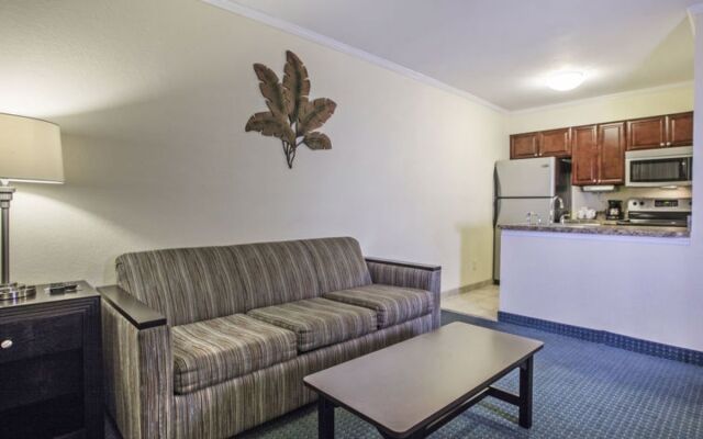 Tampa Waterfront 40977