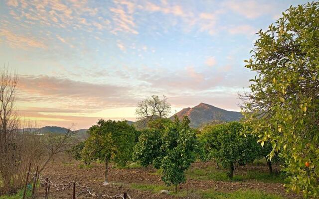 Acogedora casa rural en Zahara de la Sierra