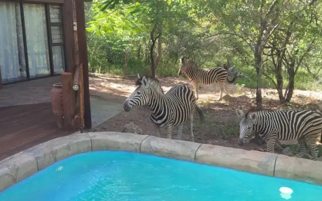 Marloth Park Holiday Home