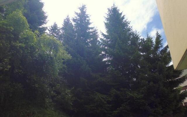 Appartement Gourette, 1 Pièce, 4 Personnes - Fr-1-400-4