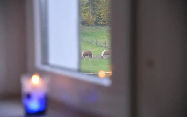 Ferienwohnung Schadler