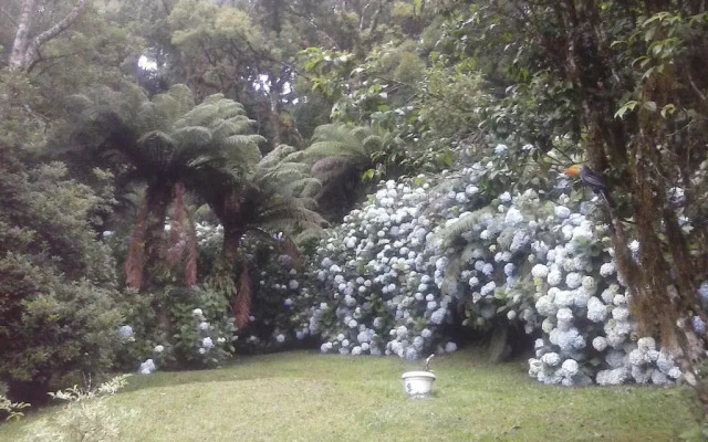 Nanda's House Pousada