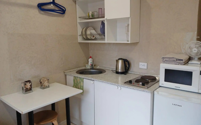 Апартаменты на проспекте Ибрагимова 61