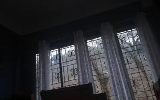 Vamoosetrail Singell