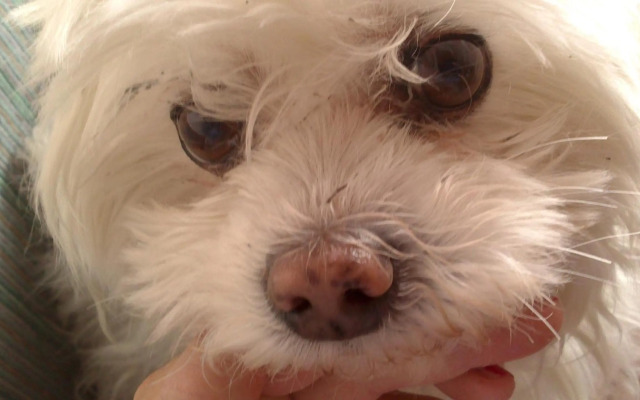 Traumhaft Ruhige Lage Eva Lamprecht