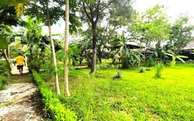 zanzllywood hotel and apartments