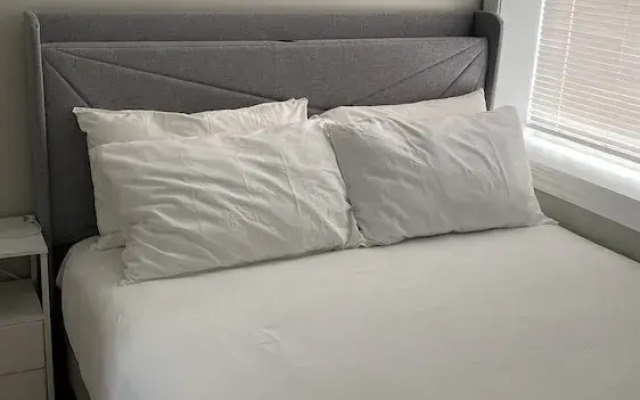 Stylish Apartment near Chicago Downtown