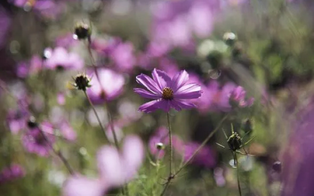 Bahao Bieyuan Boutique Inn