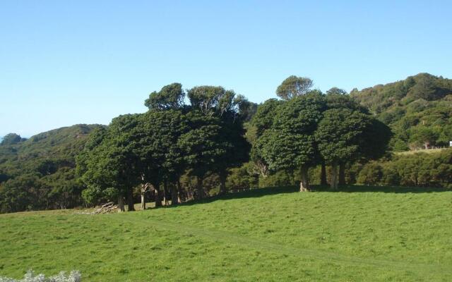 Nga Puriri Bed and Breakfast