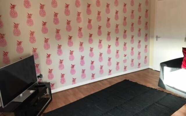 Thurso Self Catering Pet Friendly Holiday Lets