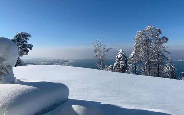 Seeblick Appartement Henle
