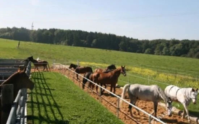 Reitanlage Hartsfeldhof