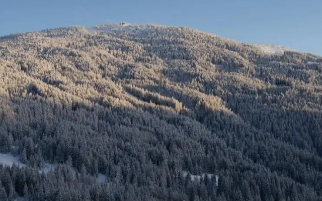 Ferienhaus Bergheimat