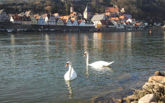 Romantisches Hirschhorn am Neckar