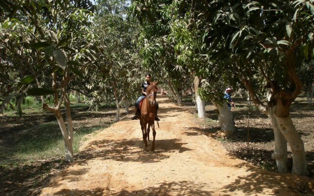 Equestrian lodge - Pyramids Egypt