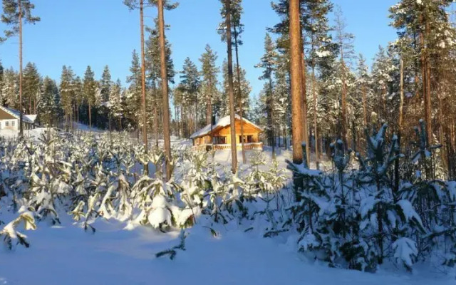Chalet Vradal