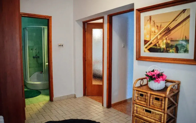 Waterfront Apartment Petrovina