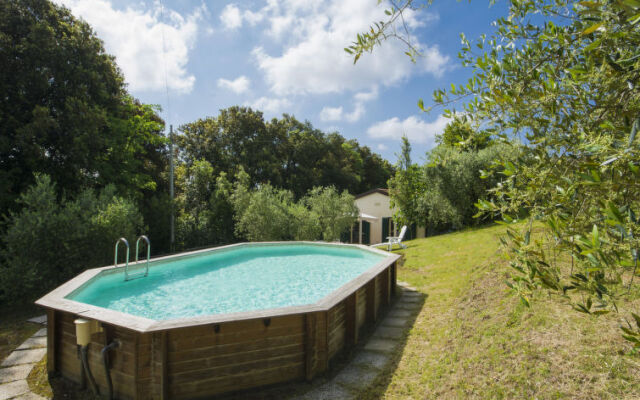 Locazione turistica Podere gli Olivi