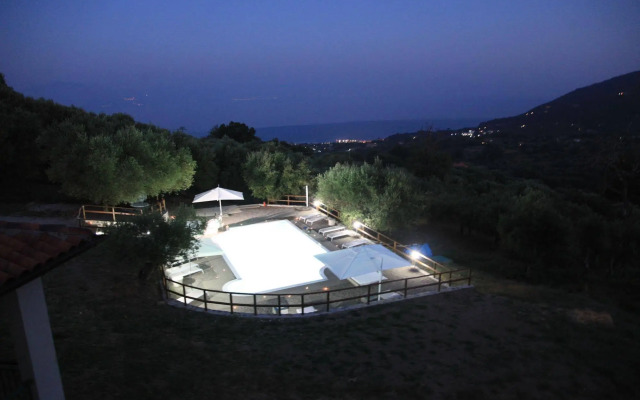 Tenuta Terre di Bosco