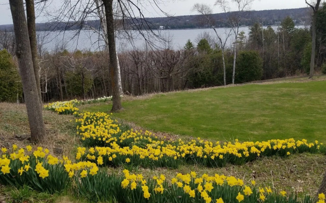 Country House Resort