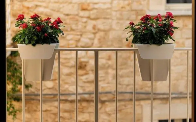 Arringo - Stay comfy