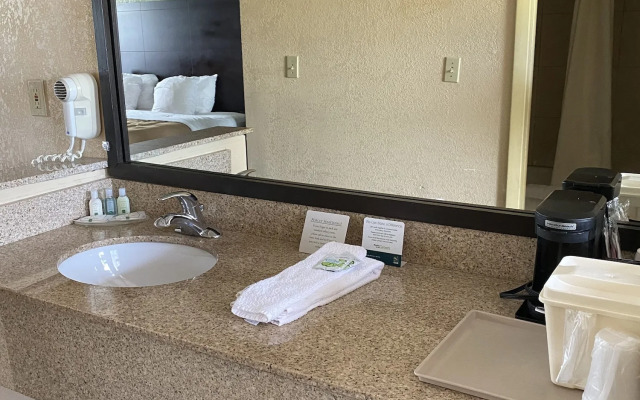 Quality Inn & Suites Big Rapids near University