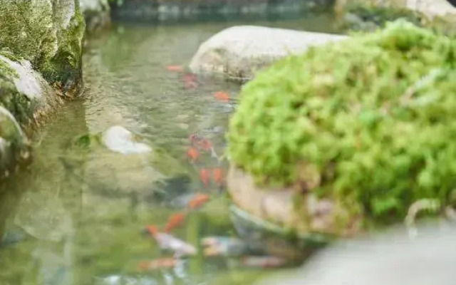 Linxi Xiaoyin Homestay