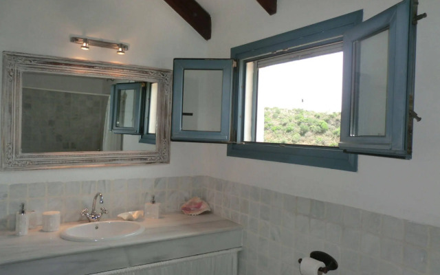 The Urban Villa