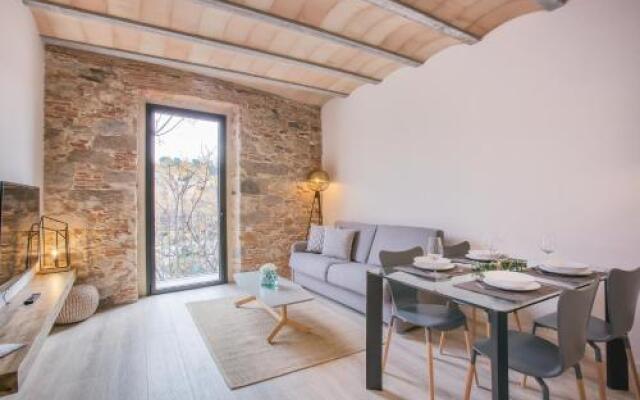 Flateli Plaça Catalunya 1.1