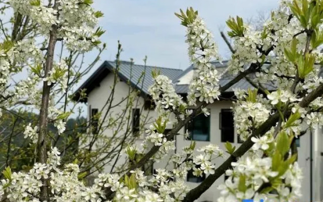 Homecoming·Snowman Mountain Guesthouse