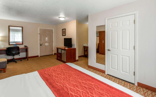 Comfort Inn Mount Shasta Area