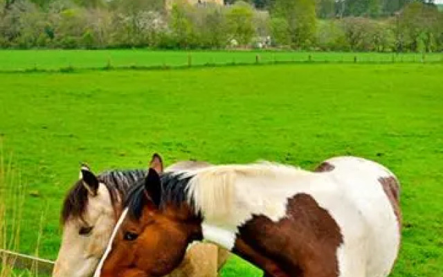 The Arches, Borthwick Mains Farm,