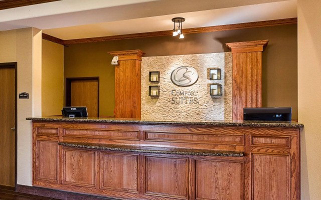 Comfort Suites McAllen