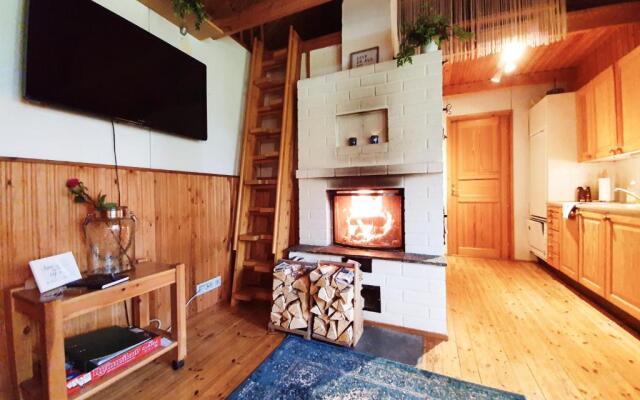 Scandinavian chalet