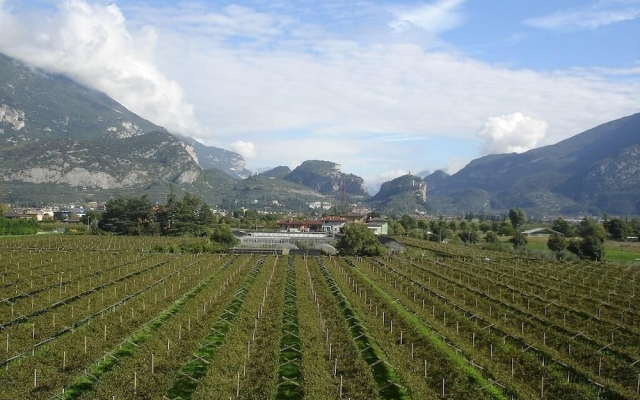 Le Servite Apartments