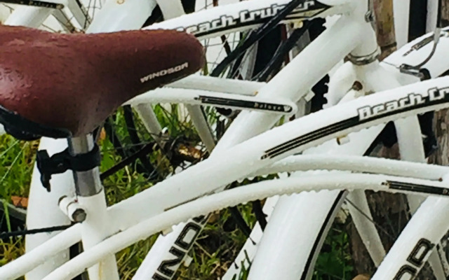 Dolce Vita Caribe Beach B&B