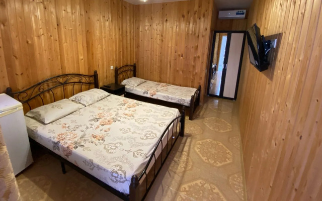 Светлана (Цандрыпш)