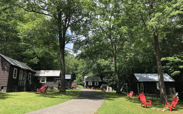 Lake George Bears Den