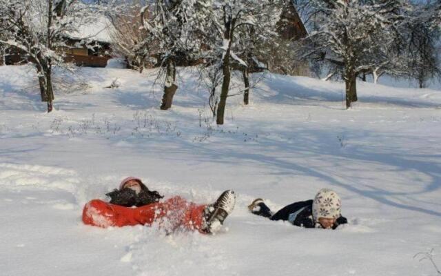 Country House Novosel